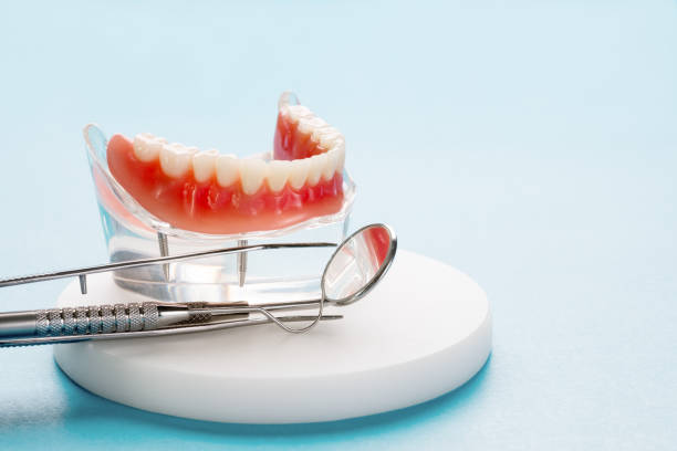 Trusted Valley Stream, NY Holistic Dental Care Services Experts